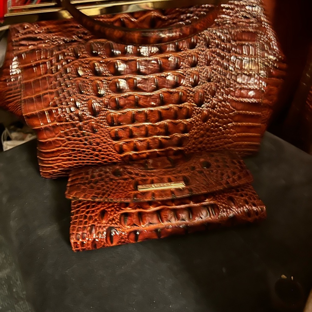 Brahmin handbag